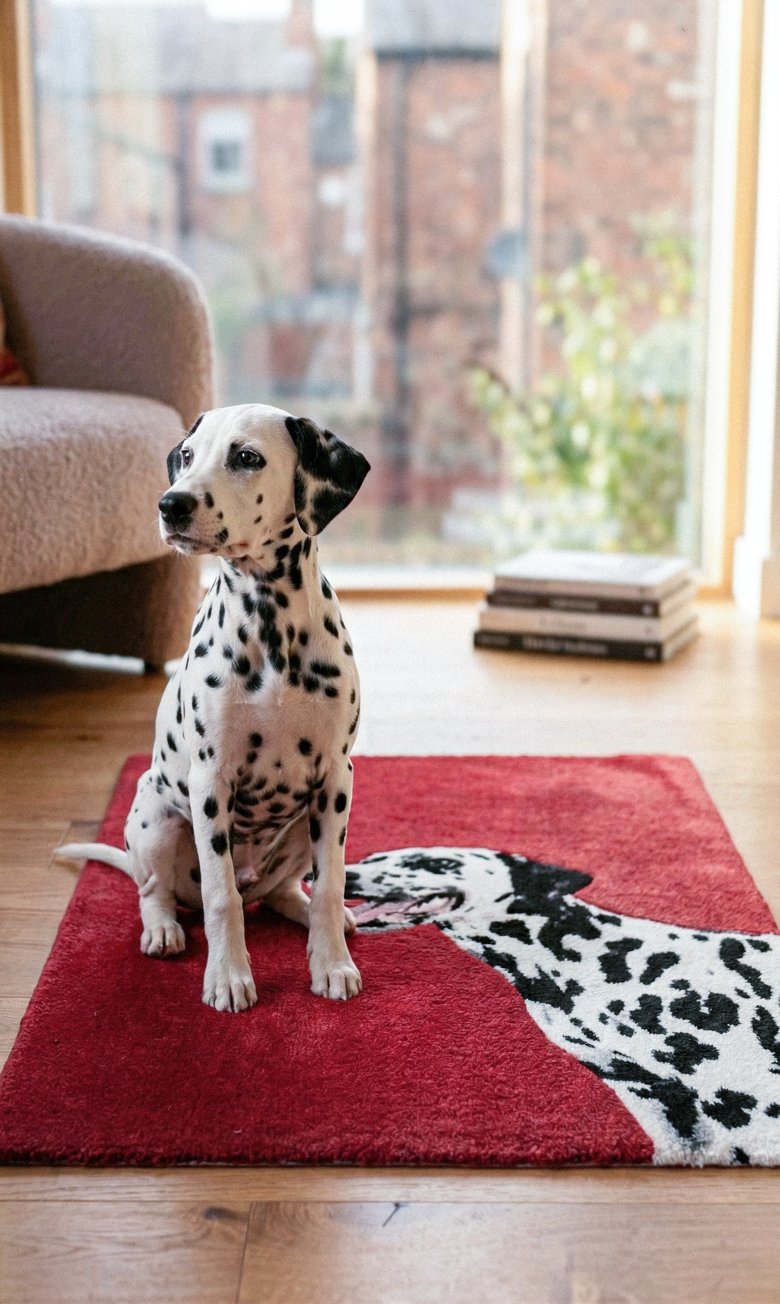 The Custom Hand Tufted Rug